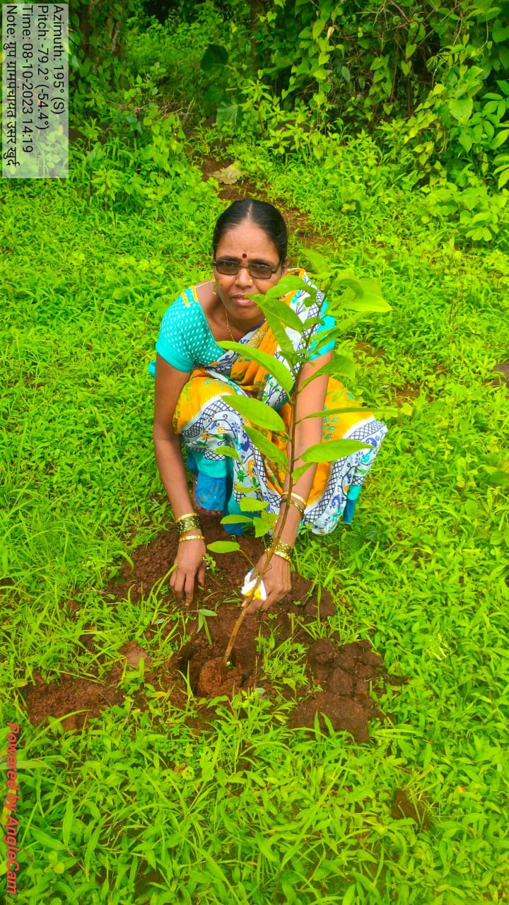 वृक्ष लागवड